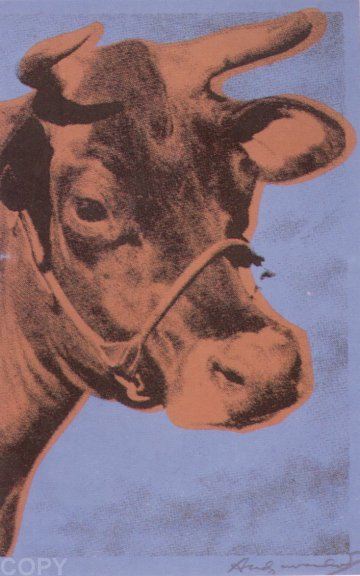 Cow, II.11a