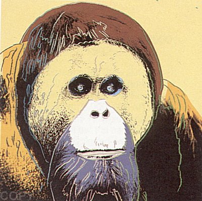 Orangutan, II.299