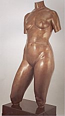 Torso: Female