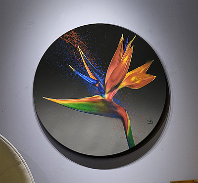 Bird of Paradise